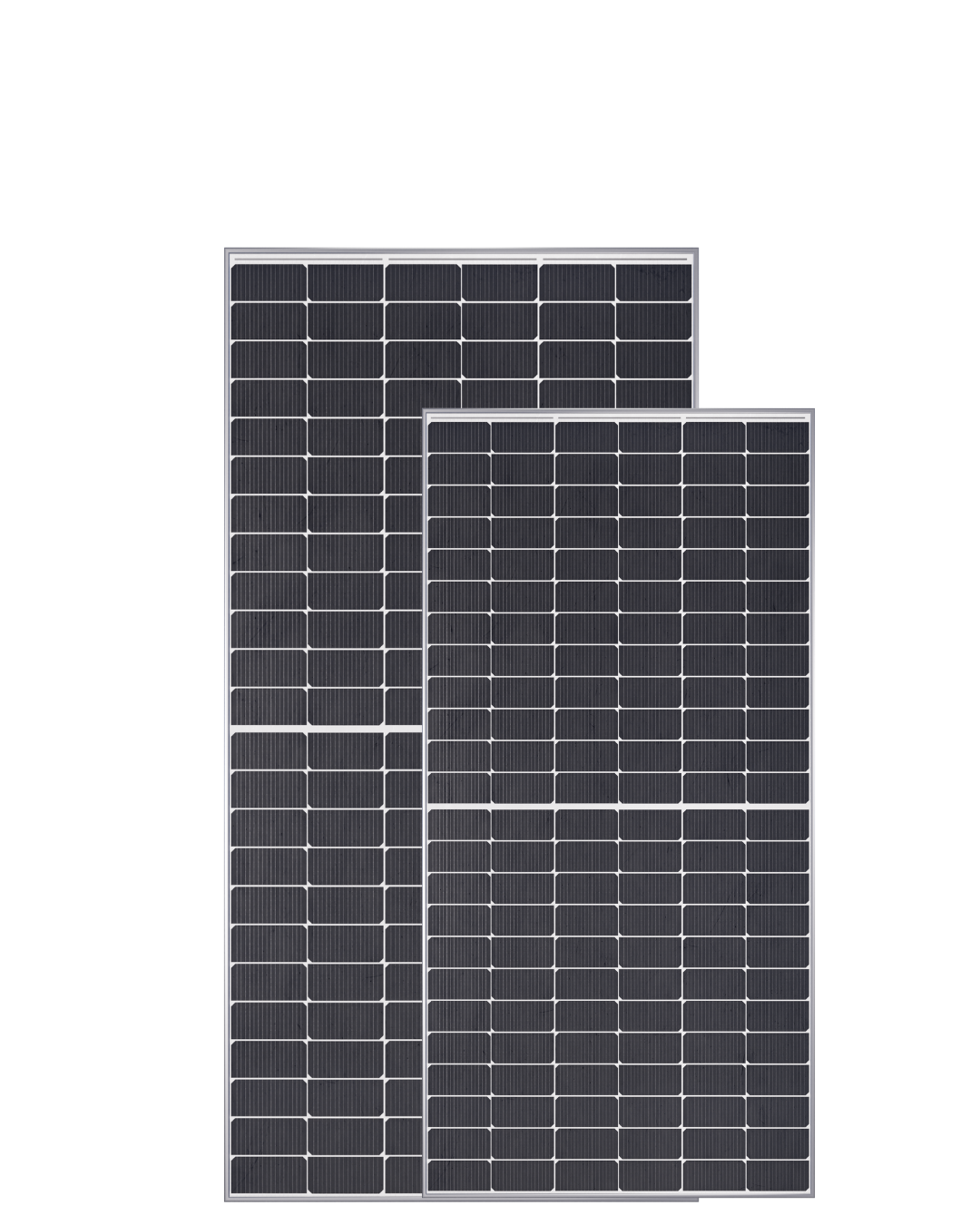 Untitled design (56)