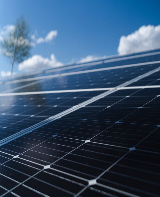 Solar panels on a farm